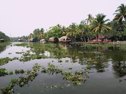 Kumarakom Bird Sanctuary